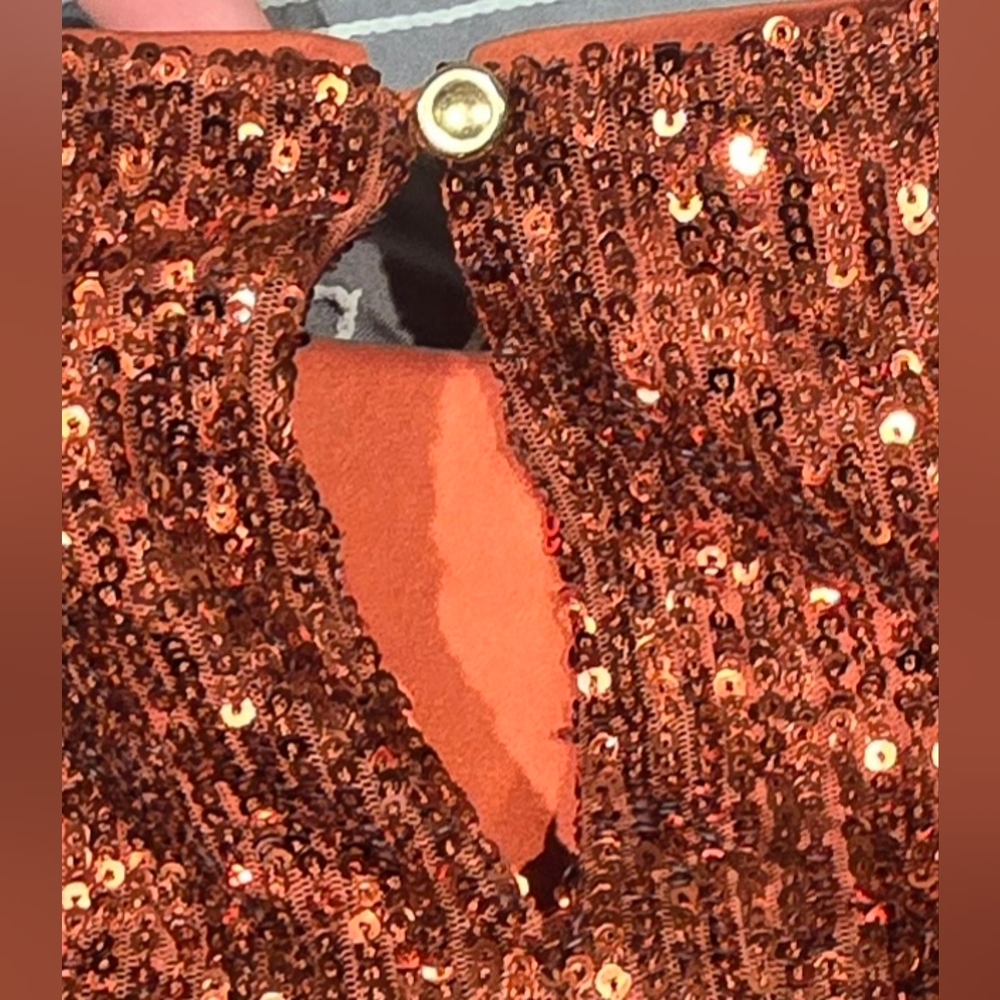 Anthropologie Burnt Orange Sequin Blouse With Puff Sleeves Size 2 - Picture 7 of 8